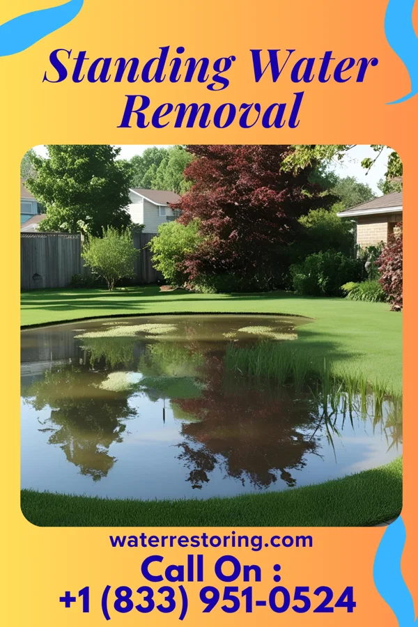Standing Water Removal in North Fond du Lac, WI